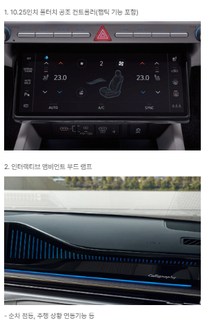 플래티넘