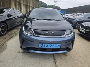 BYD 돌핀 EV 액티브