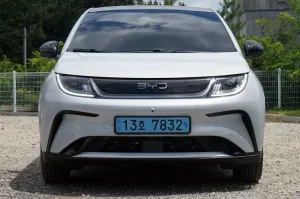 BYD 돌핀 스키화이트