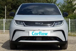 BYD 돌핀 스키화이트