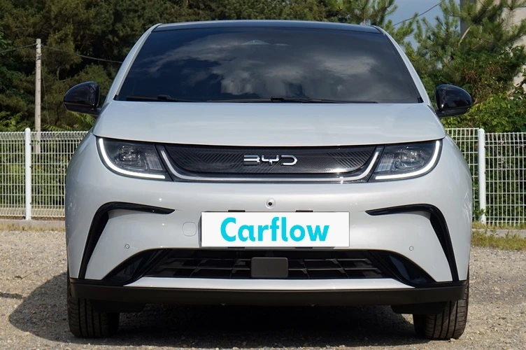 BYD 돌핀 스키화이트